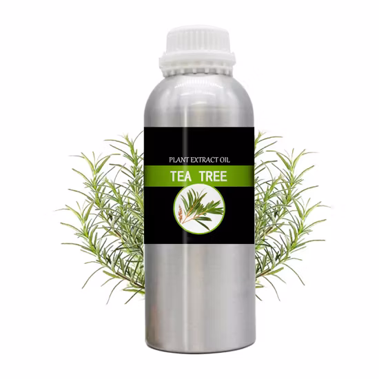 99% Raw Material Natural BMK Powder BMK Oil CAS 20320